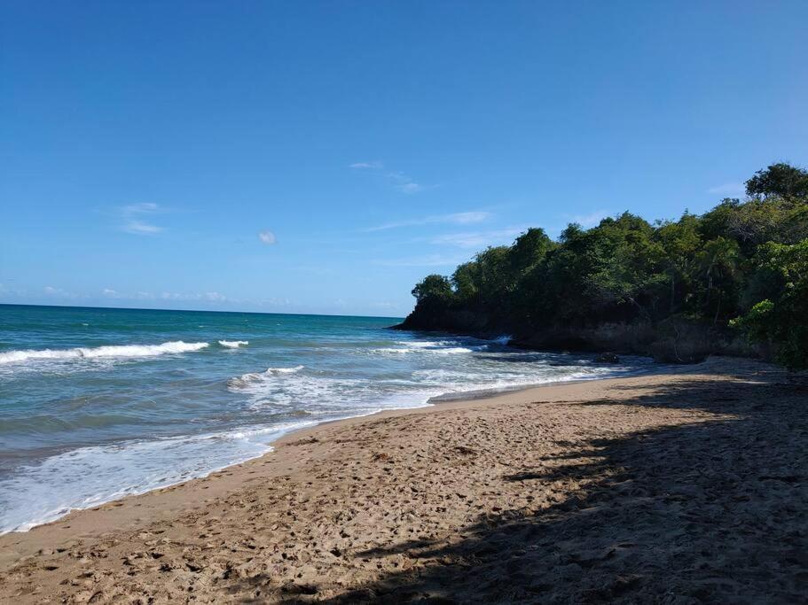 Haut De Villa Avec Vue Sur La Mer Sainte-Rose Exterior foto